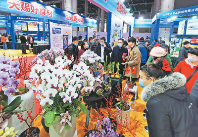 農(nóng)產(chǎn)品展銷(xiāo)人氣旺