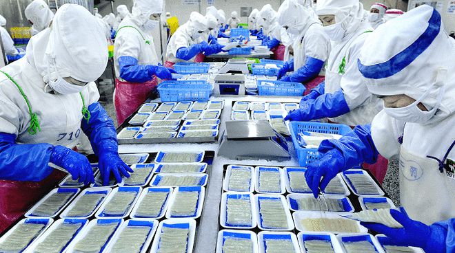 從“原字號(hào)”到“產(chǎn)業(yè)群” 丹東“藍(lán)色引擎”的逆勢(shì)崛起與商貿(mào)新篇